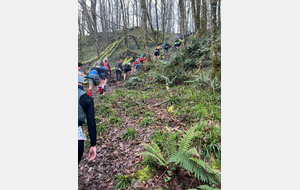 Romain au 1000 D, trail du Mervent (Maxime n'était pas au départ)