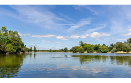 RETOUR AU GRAND ETANG